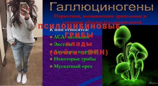 тгк Гусиноозёрск