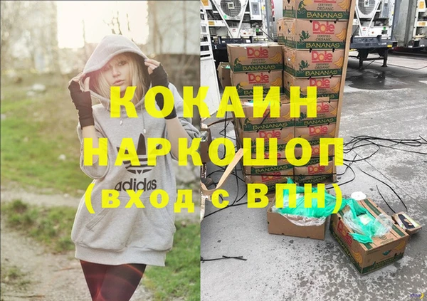 прущие грибы Апатиты