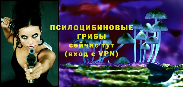 кокаин перу Михайлов