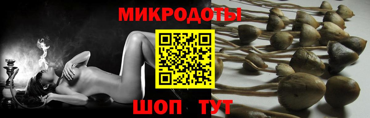 Галлюциногенные грибы MAGIC MUSHROOMS Асбест